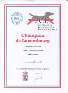 champion luxembourg