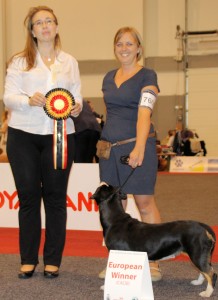 Bonnie, championne d'europe 2016